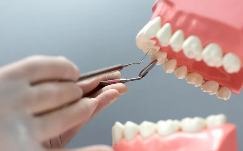 Periodontoloji Uzmanı